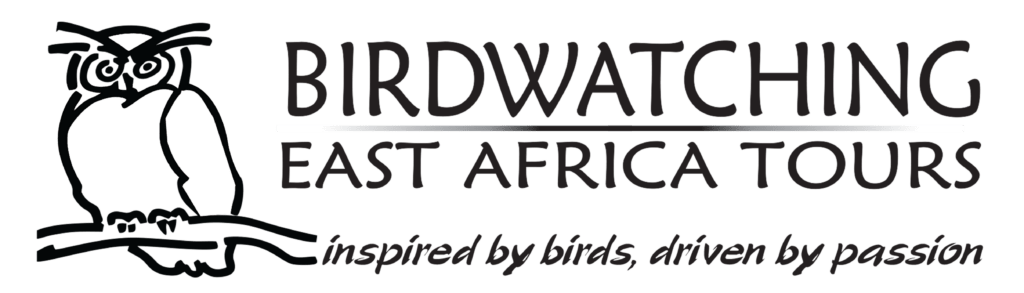 Birdwatching East Africa Tours
