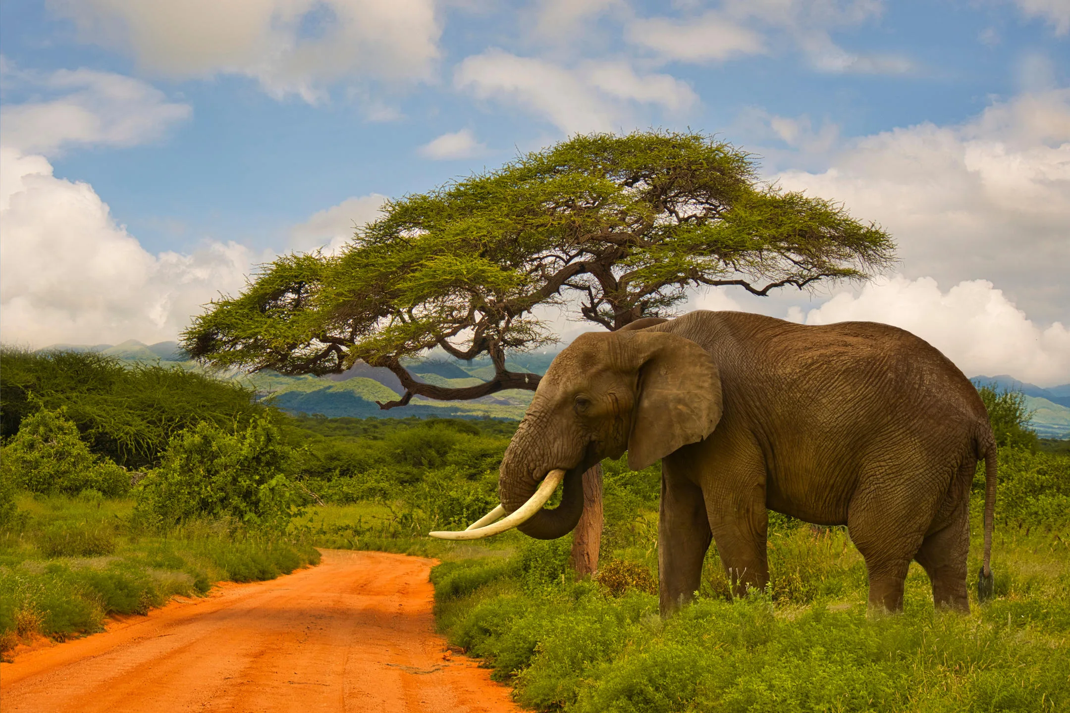 East Africa Safari Destinations